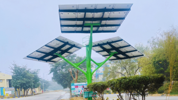 solar tree in india